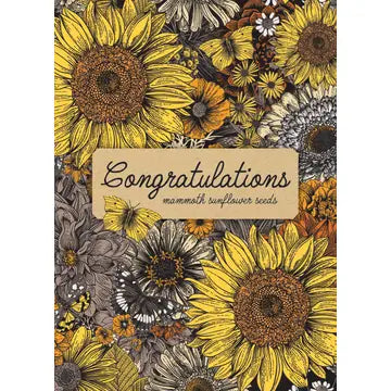 Congratulations Warm Mammoth Sunflower - Bentley Seed Co.