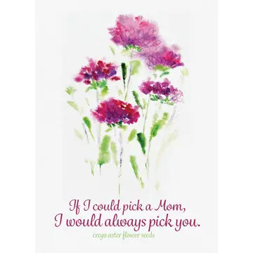 Always Pick You Mom Aster - Bentley Seed Co.