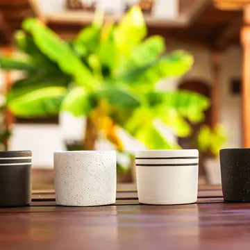 Small B&W Ceramic Planters