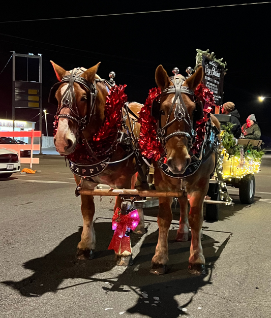 Cozy Christmas Wagon Ride