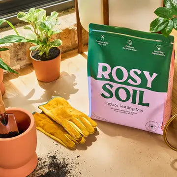 8qt Potting Soil (Indoor/Herbs) - Rosy Soil